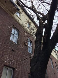 工芸.jpg